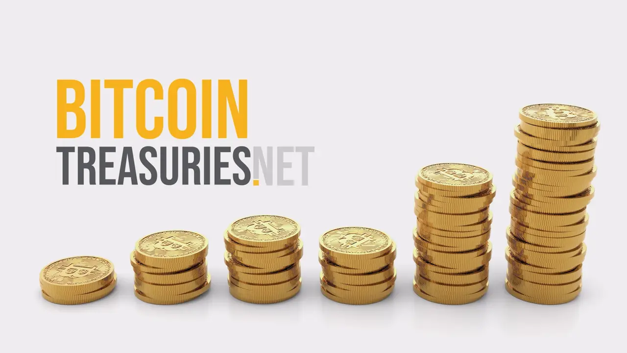Bitcoin Treasuries intro — Selected brand animations